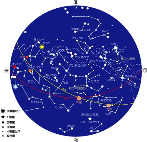 11月22日 星座|11月22日出生的星座